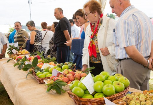 A Feira Rural volverá premiar os mellores lotes de froita do país